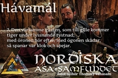 havamal-vers07