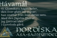 havamal-vers13