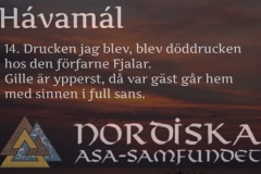 havamal-vers14