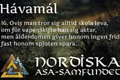 havamal-vers16