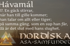 havamal-vers17