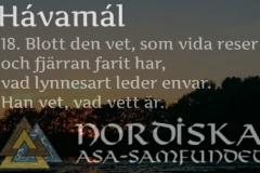 havamal-vers18