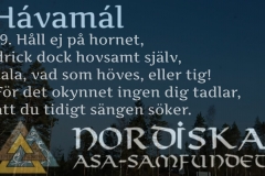 havamal-vers19