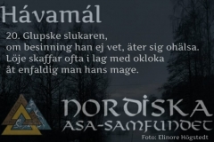 havamal-vers20