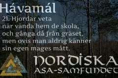 havamal-vers21