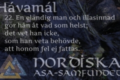 havamal-vers22