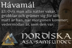 havamal-vers23