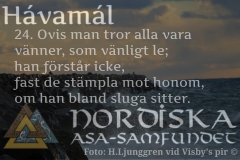 havamal-vers24