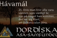 havamal-vers25
