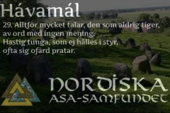 havamal-vers29