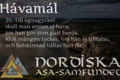 havamal-vers30