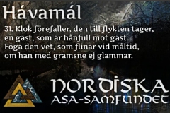 havamal-vers31