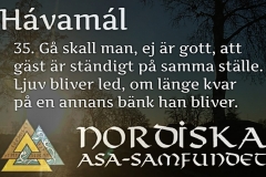 havamal-vers35