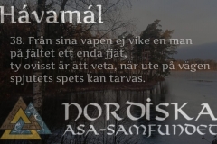havamal-vers38