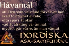 havamal-vers40