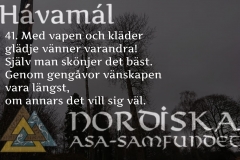 havamal-vers41