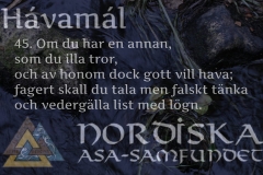 havamal-vers45