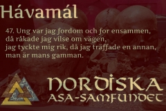 havamal-vers47