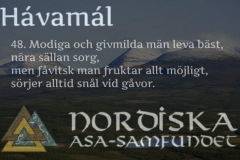 havamal-vers48