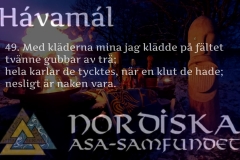 havamal-vers49