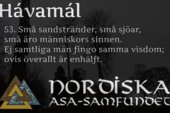 havamal-vers53