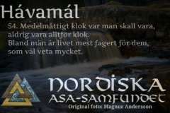 havamal-vers54