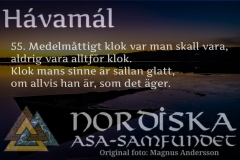 havamal-vers55