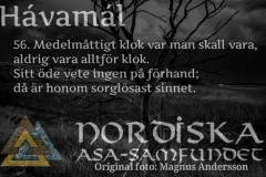 havamal-vers56
