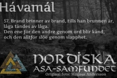 havamal-vers57