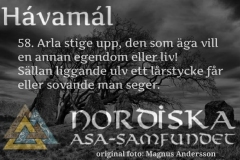 havamal-vers58