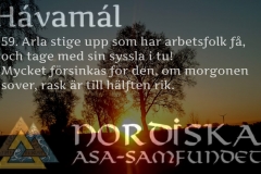 havamal-vers59