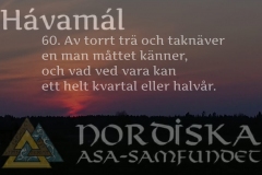 havamal-vers60