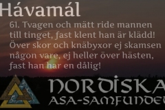 havamal-vers61