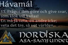 havamal-vers63
