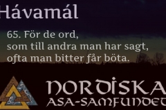 havamal-vers65