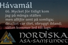 havamal-vers66