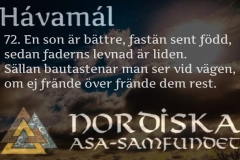 havamal-vers72