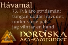havamal-vers73