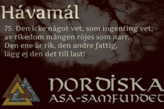 havamal-vers75
