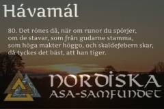 havamal-vers80