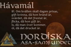 havamal-vers81