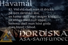 havamal-vers83