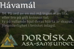 havamal-vers84