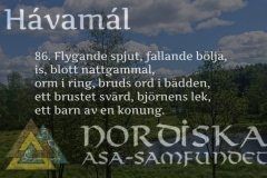 havamal-vers86