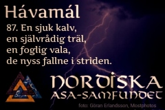 havamal-vers87