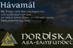 havamal-vers88