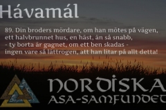 havamal-vers89