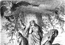 Nornorna. Våra ödesgudinnor