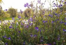 Nidingar kränker kvinnors integritet