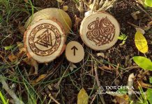 Tyr-runan – Öppet brev till Media och Morgan Johansson